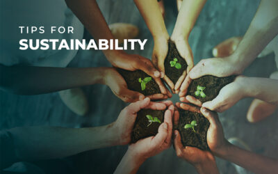 Sustainability Actions for World Environment Day