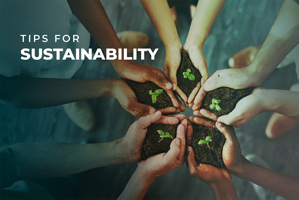 Tips-for-Sustainability-article-blog
